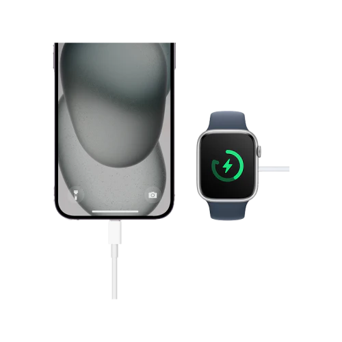 BAZIC GOCHARGE CABLE, USB-C TO WATCH 1M – WHITE